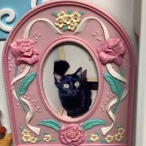 Meet your Posher, Tracy